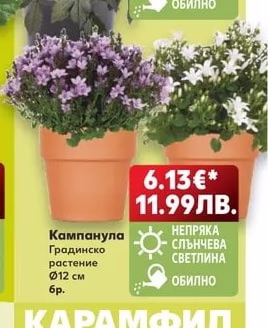 Далия