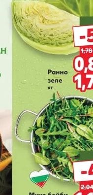 Ранно зеле