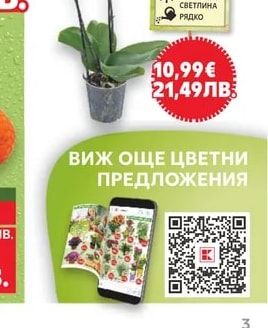 Букет микс