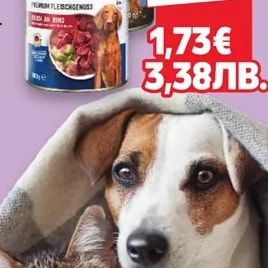 Carinura Храна за кучета