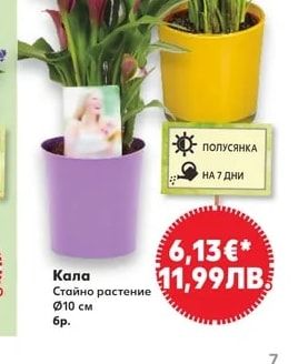 Кала