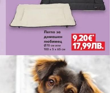 Легло за домашен любимец
