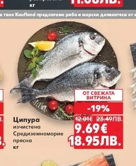 Ципура изчистена Средиземноморие прясна