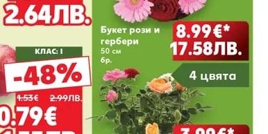 Авокадо