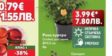 Букет рози и гербери