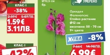 Ябълки червени Йонапринс