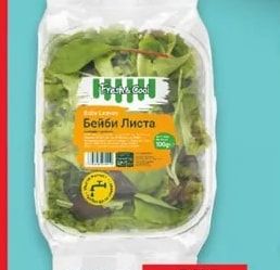 FRESH & COOL Салата Бейби лийвс