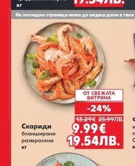 Ципура чистена, прясна улов Средиземноморие