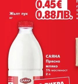 Жълт лук