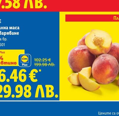 ЗАГОРКА Бира