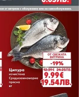 BLACK SEA SHELLS Черноморски миди