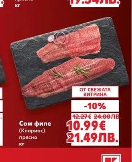Ципура