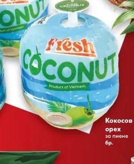 Fresh Coconut Кокосов орех за пиене