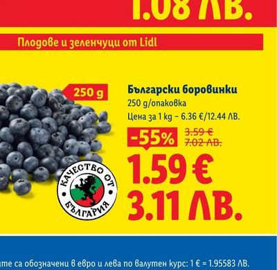 БУРГАСКО Бира 4,2% vol