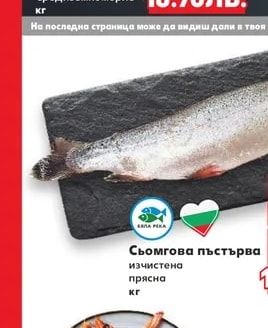 Ципура