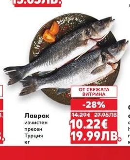 Фагри