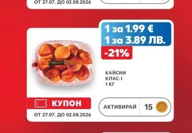 КАЙСИИ