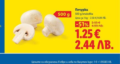 ZOOFARI Котешка катерушка