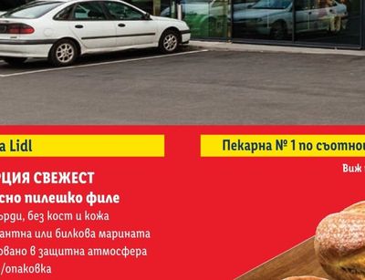 FAMILIA COLLECTION FAMILIA COLLECTION Сладолед