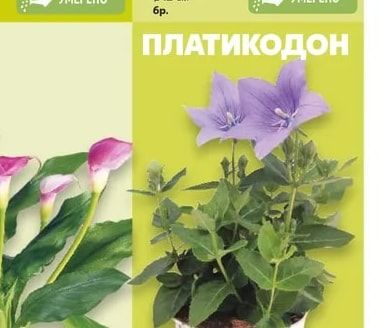 Кала