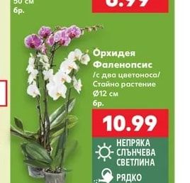 Букет Цветен микс