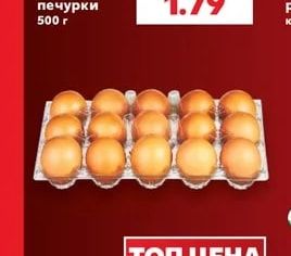Гъби печурки