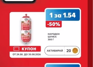 НАРОДЕН ШУНКА