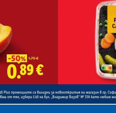 Хризантема