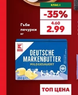 Гъби печурки