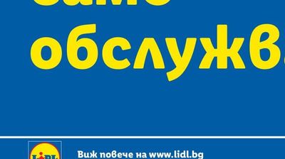 Електрическа скара