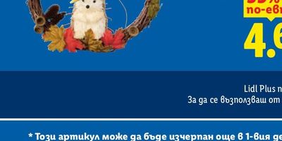 PARKSIDE® Акумулаторен полиращ апарат PAAP 12 F6 с батерия 12 V