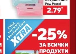 Paw Patrol Бутилка за пиене или Кутия за съхранение