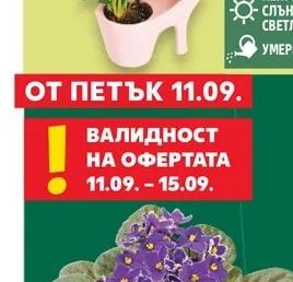Антуриум в керамика