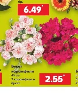 Букет карамфили