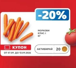 МОРКОВИ