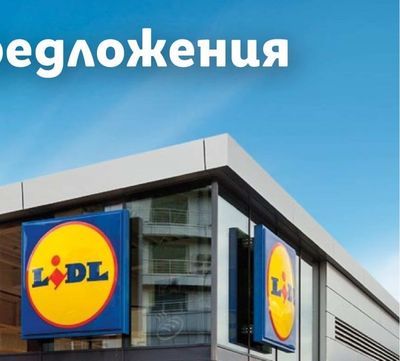 Български жълт лук