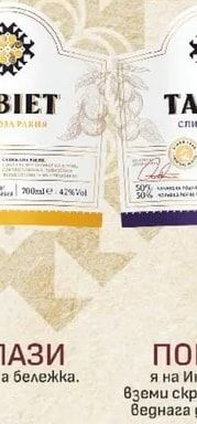 СПИЗОВА РАКИЯ