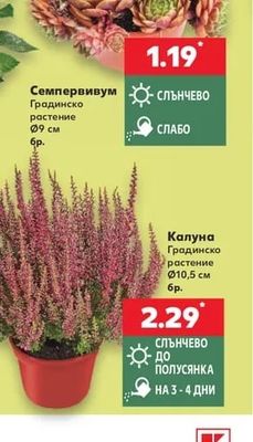Калуна