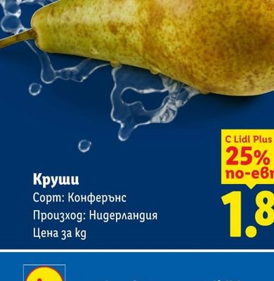 Български жълт лук