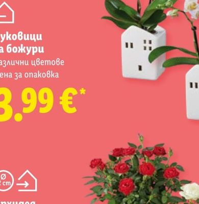 COLGATE Паста или Четка за зъби