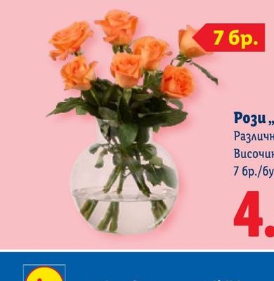 MALIVA Тоалетна хартия Romance трипластова промопакет