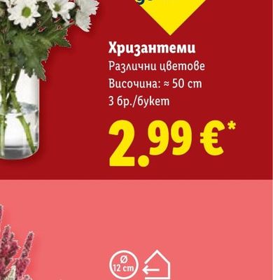 BREF WC блокче Power Activ