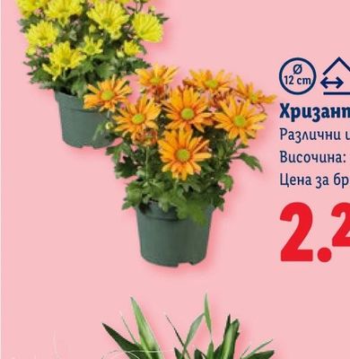ZEBRA Кухненска ролка White трипластова