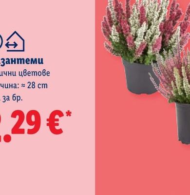 DOMESTOS Универсален препарат