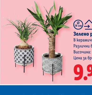 SUNNY DOG Суха храна за кучета
