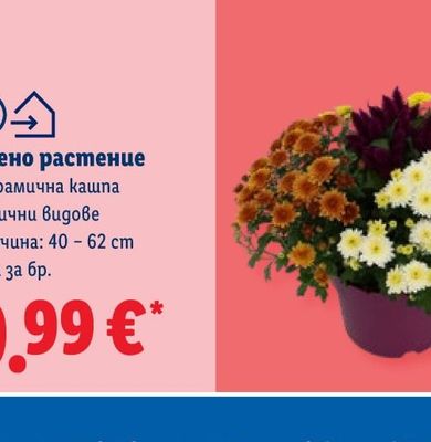 PURINA ONE Суха храна за котки