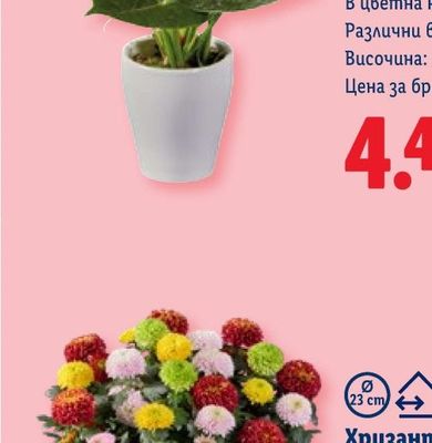 PERSIL Прах