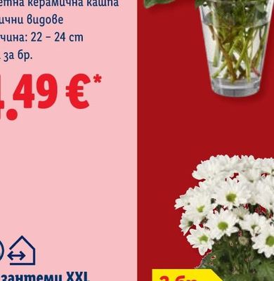 SAVEX Прах