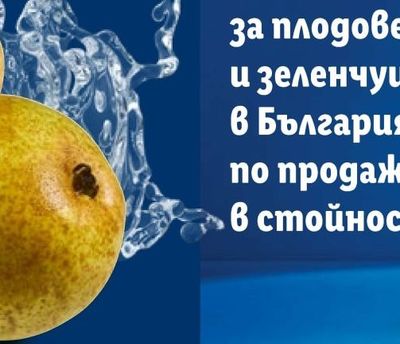Сгъваема стълба