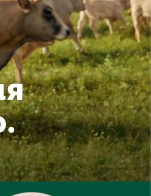 PERONI Бира Nastro Azzuro